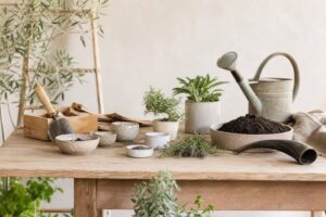 Article sur biodynamie : la méthode qui va plus loin que le bio traditionnel - illustration principale