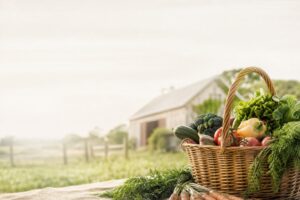 Article sur la vente directe à la ferme : guide pratique et bonnes adresses - illustration principale